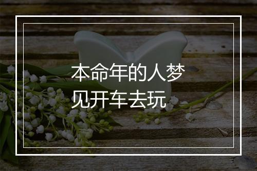 本命年的人梦见开车去玩