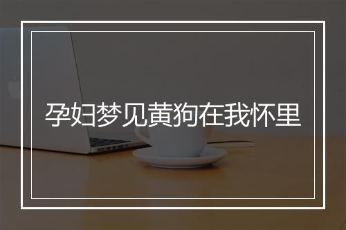 孕妇梦见黄狗在我怀里