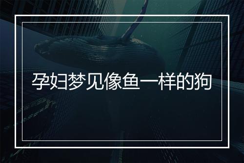 孕妇梦见像鱼一样的狗