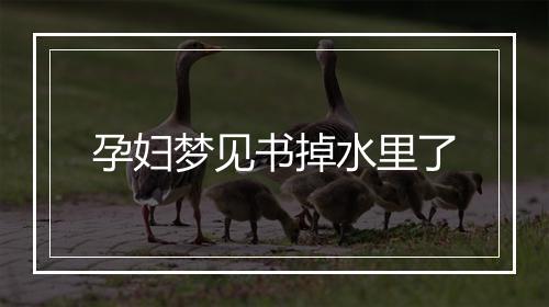 孕妇梦见书掉水里了