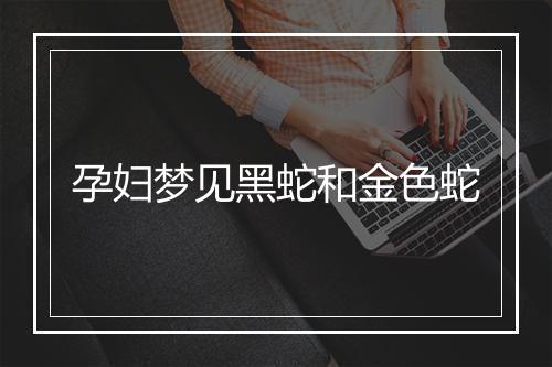 孕妇梦见黑蛇和金色蛇