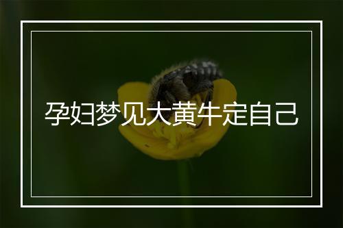 孕妇梦见大黄牛定自己