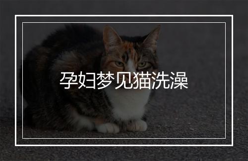 孕妇梦见猫洗澡