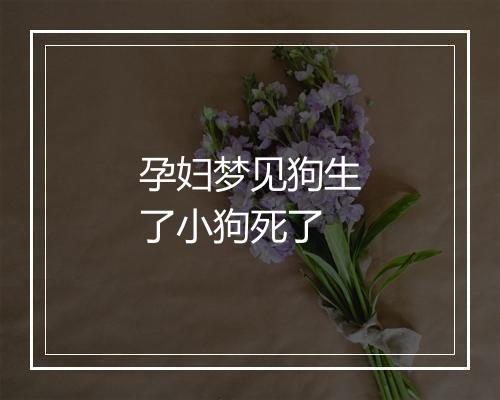 孕妇梦见狗生了小狗死了