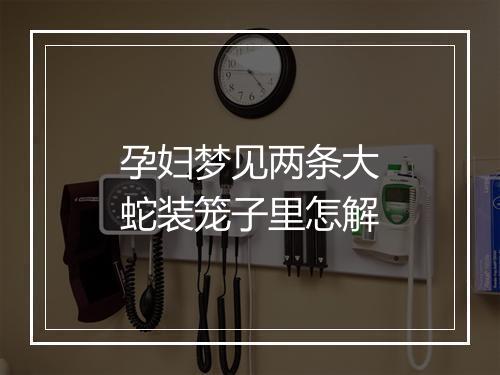 孕妇梦见两条大蛇装笼子里怎解