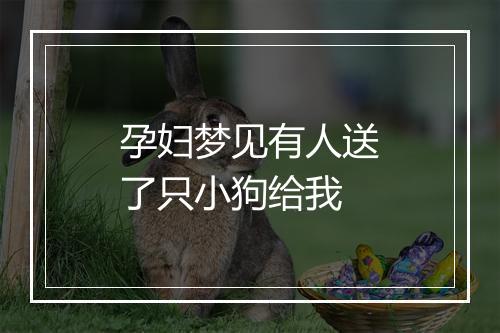 孕妇梦见有人送了只小狗给我