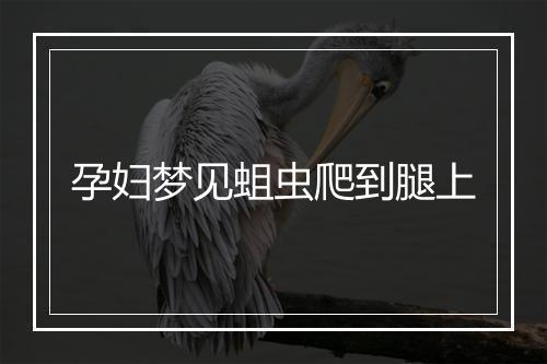 孕妇梦见蛆虫爬到腿上