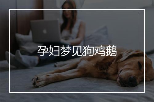 孕妇梦见狗鸡鹅