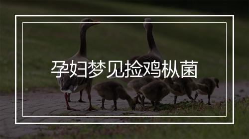 孕妇梦见捡鸡枞菌