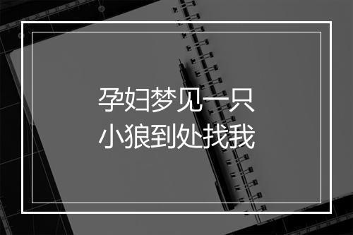 孕妇梦见一只小狼到处找我