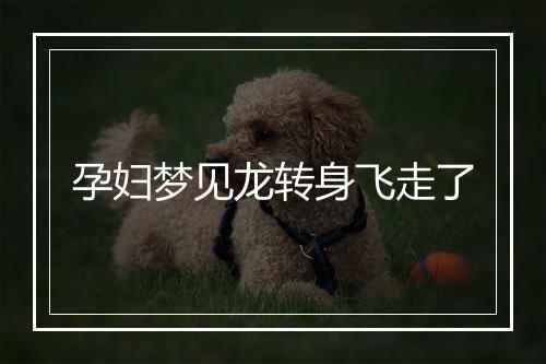 孕妇梦见龙转身飞走了