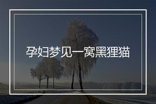 孕妇梦见一窝黑狸猫