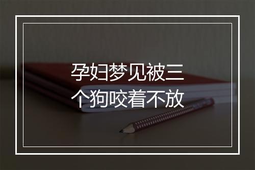 孕妇梦见被三个狗咬着不放