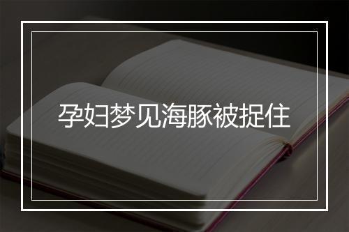 孕妇梦见海豚被捉住