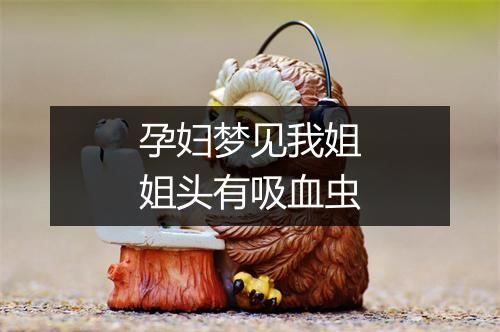 孕妇梦见我姐姐头有吸血虫