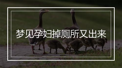 梦见孕妇掉厕所又出来