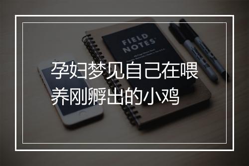 孕妇梦见自己在喂养刚孵出的小鸡