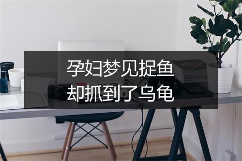 孕妇梦见捉鱼却抓到了乌龟