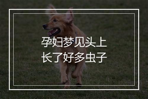 孕妇梦见头上长了好多虫子