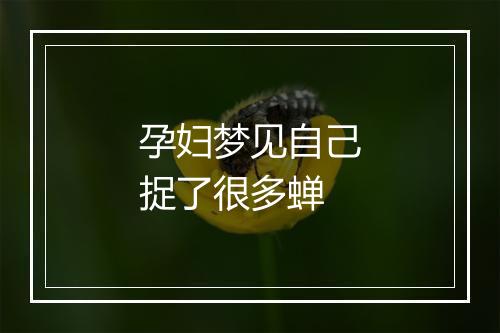 孕妇梦见自己捉了很多蝉