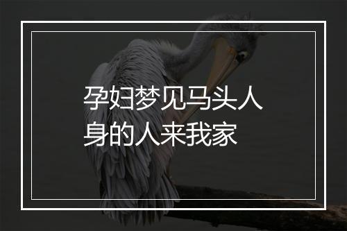 孕妇梦见马头人身的人来我家