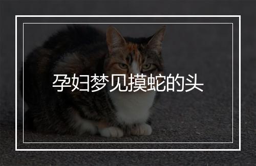 孕妇梦见摸蛇的头