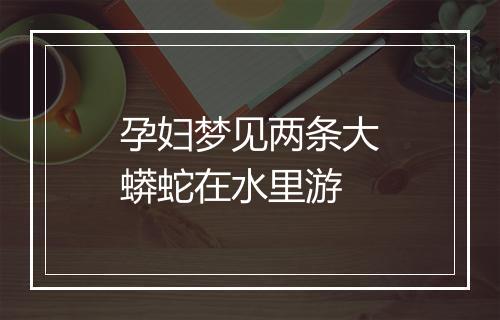 孕妇梦见两条大蟒蛇在水里游