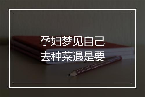 孕妇梦见自己去种菜遇是要