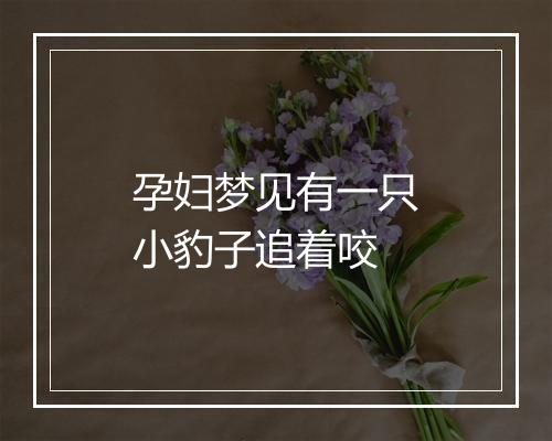 孕妇梦见有一只小豹子追着咬