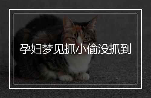 孕妇梦见抓小偷没抓到