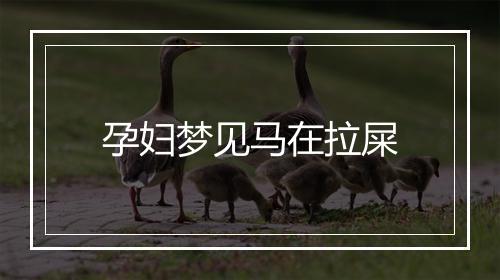 孕妇梦见马在拉屎