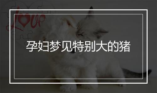 孕妇梦见特别大的猪