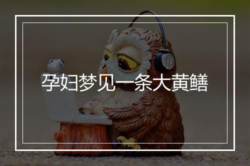 孕妇梦见一条大黄鳝