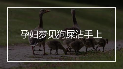 孕妇梦见狗屎沾手上