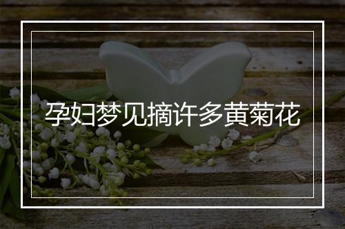 孕妇梦见摘许多黄菊花