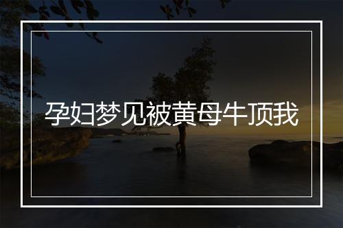 孕妇梦见被黄母牛顶我