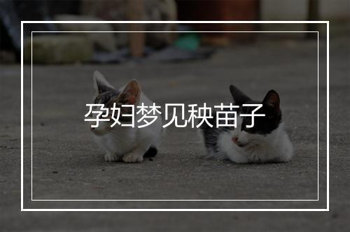 孕妇梦见秧苗子