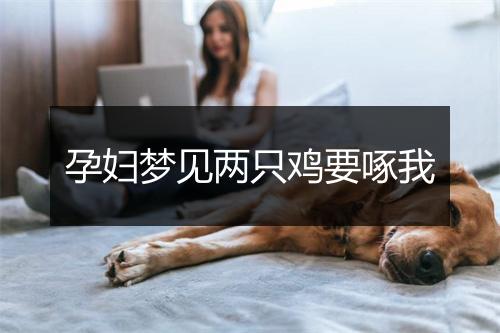 孕妇梦见两只鸡要啄我