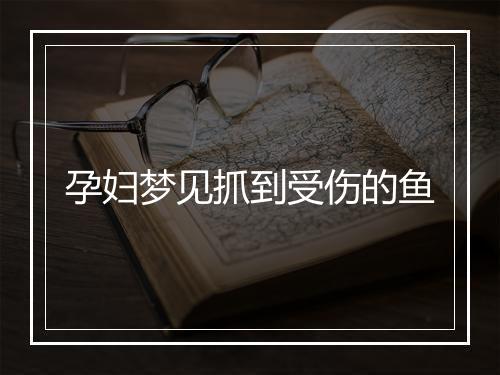 孕妇梦见抓到受伤的鱼