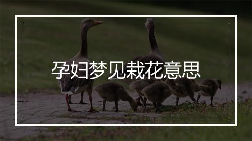 孕妇梦见栽花意思