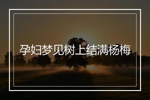 孕妇梦见树上结满杨梅