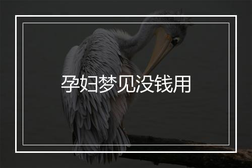 孕妇梦见没钱用