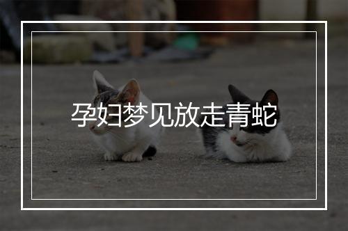 孕妇梦见放走青蛇