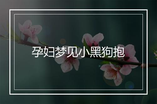 孕妇梦见小黑狗抱