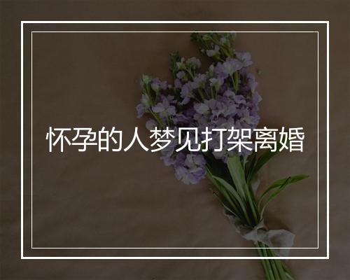 怀孕的人梦见打架离婚