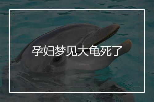 孕妇梦见大龟死了