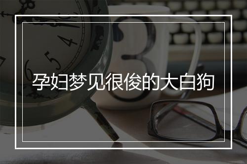 孕妇梦见很俊的大白狗