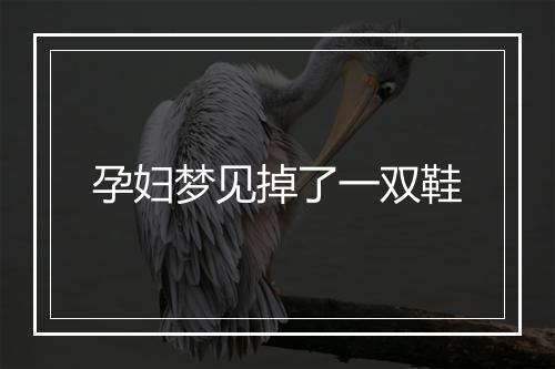 孕妇梦见掉了一双鞋