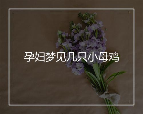 孕妇梦见几只小母鸡