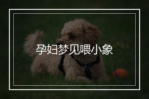 孕妇梦见喂小象